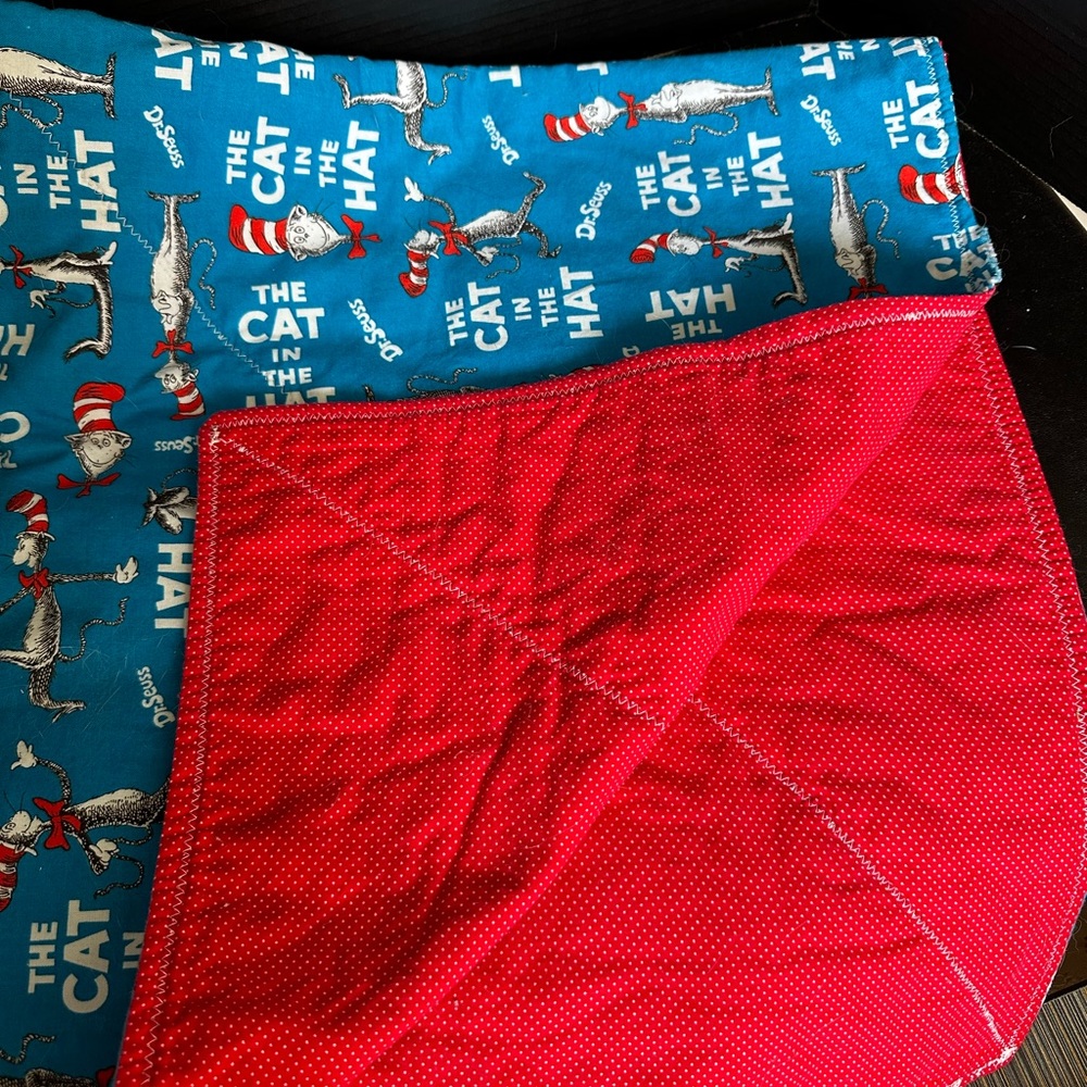 40” X 35” Handmade Baby Quilt Cat In The Hat Dr. Seuss Double Sided Blue READ